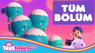 Woo Woo Gökyüzü - True ve Gökkuşağı Krallığı 🌈  Çizgi Film - Cartoon Network