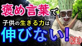 【勘違い！】褒め言葉で子供は伸びない！？　～「褒めて伸ばす」とは？～　（教育・育児・子育て）