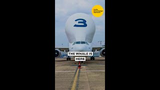 Whale-shaped airbus landed at Mumbai’s Chhatrapati Shivaji Maharaj International Airport.