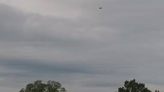 Overcast Sky Over The Tree Tops