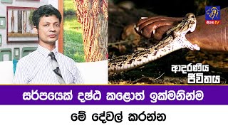 සර්පයෙක් දෂ්ඨ කළොත් ඉක්මනින්ම මේ දේවල් කරන්න | Adaraneeya Jeewithaya