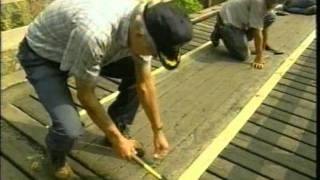 Helping Hands Volunteer with the Forest Service