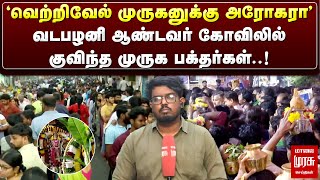 வடபழனி ஆண்டவர் கோவிலில் குவிந்த முருக பக்தர்கள்.! | Vadapalani Murugan Temple | Thaipusam