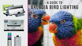 The Very BEST UV Lighting For Pet Birds. Arcadia Bird, Our Whole Range