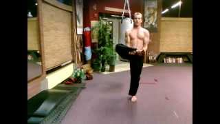 Chinese Qi Gong Posture #4