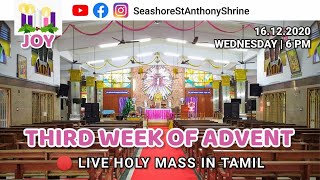 Holy Mass (6.00 PM) | 16.12.2020