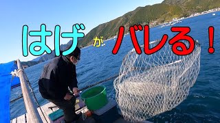 【イカダ釣り】おさかな釣り日記2022 3 20