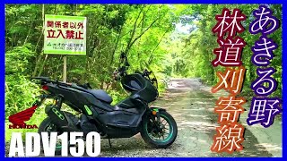 【ADV150】西東京あきる野林道探索「林道刈寄線」サクッと行けるフラット林道❨立入禁止❩【モトブログ】