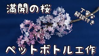 満開の桜をペットボトルで作ろう　How to make transparent cherry blossom