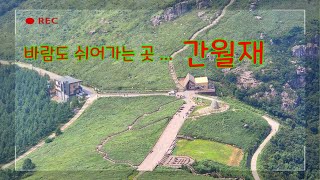 [영남알프스] 신불산 | 청억새 춤추는 8월 | 간월재 신불재 억새풍년 | 10월초 은빛물결 예상됨 (2022년 8월 14일)