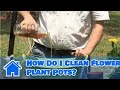 Container Gardening : How Do I Clean Flower Plant Pots?