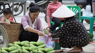 Daily life of a 17-year-old single mother : 100 days of care - Harvesting Luffa || Ly Tieu Nu