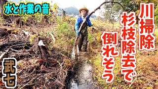 杉の枝が川を壊して塞いでいるから除去！Japanese dredging of waterways