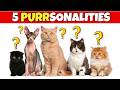 The 5 Feline Personality Types: Which is Your Cat?