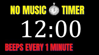 12 Minute Workout Countdown Timer with 1 Minute Interval Beeps | NO MUSIC