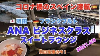 🛫2021.06  ANA ビジネスクラス 羽田空港からフランクフルト乗り継ぎ編　コロナ禍のヨーロッパ渡航