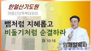 뱀처럼 지혜롭고 비둘기처럼 순결하라 | 임채일목사