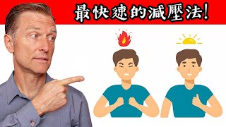 (壓力) 最快速減壓、助眠的呼吸法幫助入睡自然療法,柏格醫生 Dr Berg