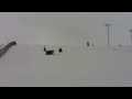 Snow sledding #4