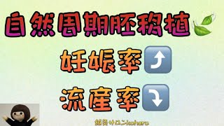 妊娠率↑↑お体も喜ぶ😆自然周期胚移植という選択肢