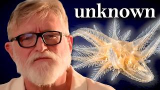 Gabe Newell Found a Creature Scientists Can't Classify
