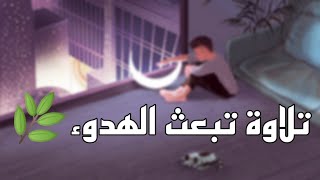 فلا تعلم نفسٌ ما أخفي لهم من قرة أعينٍ | شريف مصطفى حالات واتساب.