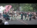 彩夏祭2023 ～ 勢や （朝霞の森前）