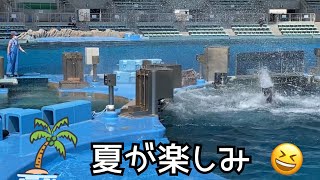 [シャチ] 朝のトレーニング①                                   名古屋港水族館