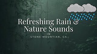 🌧️ Refreshing Rain \u0026 Thunder in Stone Mountain | Nature Sounds for Sleep, Study, Meditation 🌲