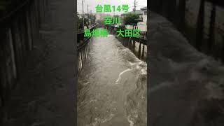 台風14号接近中の呑川@島畑橋、大田区　#short #shorts #台風14号