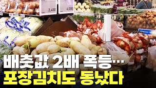 배추값 폭등에 포장김치 '품절'…\