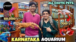 Inside The Karnataka Aquarium The Most Exotic Pets | Best Aquariums In Bangalore