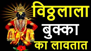 विठ्ठलाला बुक्का का लावतात । ashadhi ekadashi 2023 | Devshayani Ekadashi | Aashadhi | vitthal bukka