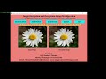 DES Image Encryption and Decryption Python Project With Source Code Image Encryption Using DES
