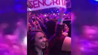 Justin Timberlake baby gender reveal at concert for Upstate NY woman