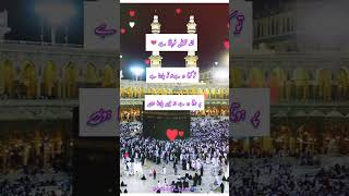 Allah kia chata hy..?||islamic status||status video