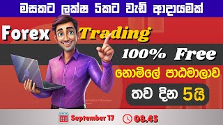 මේ වීඩියෝ එක මිස් කරගන්න එපා| මසකට ලක්ෂ 5කට වැඩි ආදායමක් | Earn Money Online Free Course|MissionCash