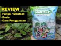 Review of Bio Fungicide Marfu-P | Functions / Benefits, Dosage, How to Use Trichoderma Marfu-P