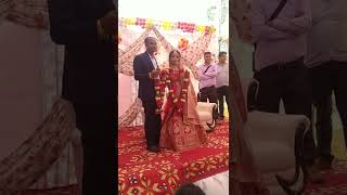 Amazing Jaimala | Saadi Varmala,Jaimala | Wedding Jaimala Ceremony |