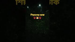 শিয়ালের ডাক / শিয়াল কিভাবে ডাকে/ Fox call / Fox barks 👹🦊👹 #fox #viral #ytshort #shortsfeed #shorts