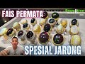 SPESIAL JARONG !!! UPDATE PROMO BATU PERMATA SPESIAL KALIMAYA SUPER JARONG - BANG FAIS [15/02/24]