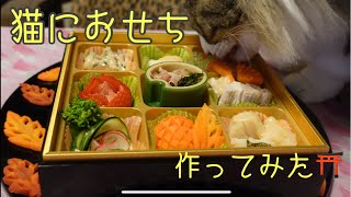 I made New Year dishes for cats! I made homemade osechi for cats (Osechi is Japanese New Year's Food