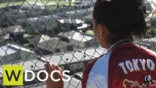 Wireless Docs: The Land Speaks