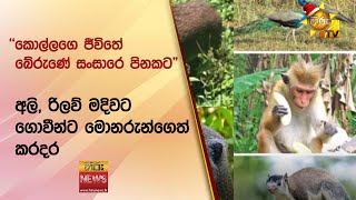 ''කොල්ලගෙ ජීවිතේ බේරුණේ සංසාරෙ පිනකට\