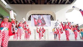 [4K] こねくしょん　泉州YOSAKOI ゑぇじゃないか祭り 2019