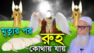 মৃত্যুর পর রুহ কোথায় যায় | আল্লামা লুৎফর রহমান | Allama Lutfur Rahman | New Waz Mahfil