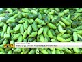 পাইকারি বাজারে বেড়েছে সবজির দাম bogura news vegetable market price hike ekhon tv