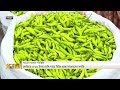 পাইকারি বাজারে বেড়েছে সবজির দাম bogura news vegetable market price hike ekhon tv