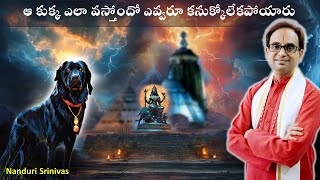 ఆ అపచారం చేస్తే నల్లకుక్క ప్రత్యక్షం అవుతుంది | 64 secrets of Puri temple- Part 3 | Nanduri Srinivas