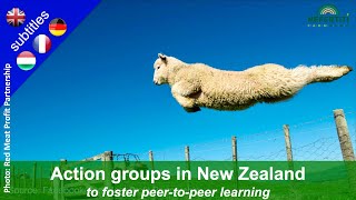 Action groups to foster peer to peer learning - example of Red Meat Profit Partnership, New Zealand